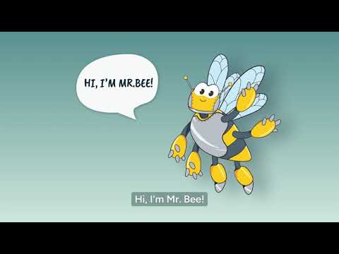 Math Course: Fractions & Decimals in Motion